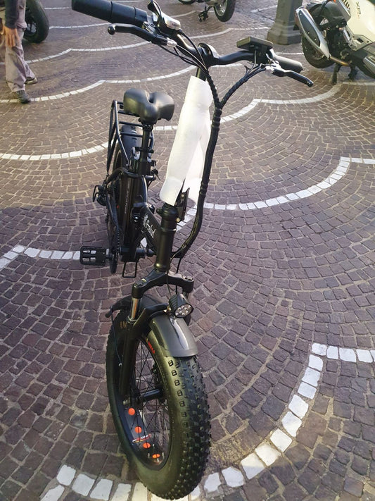 E-bike fralud