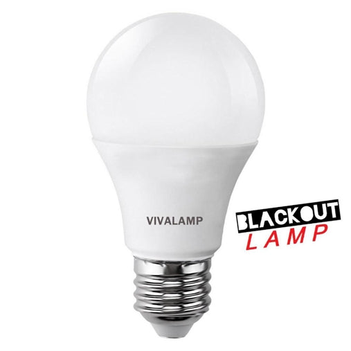 Lampadina a led emergenza e27 a60 8w